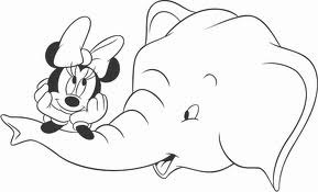 Elephant 13